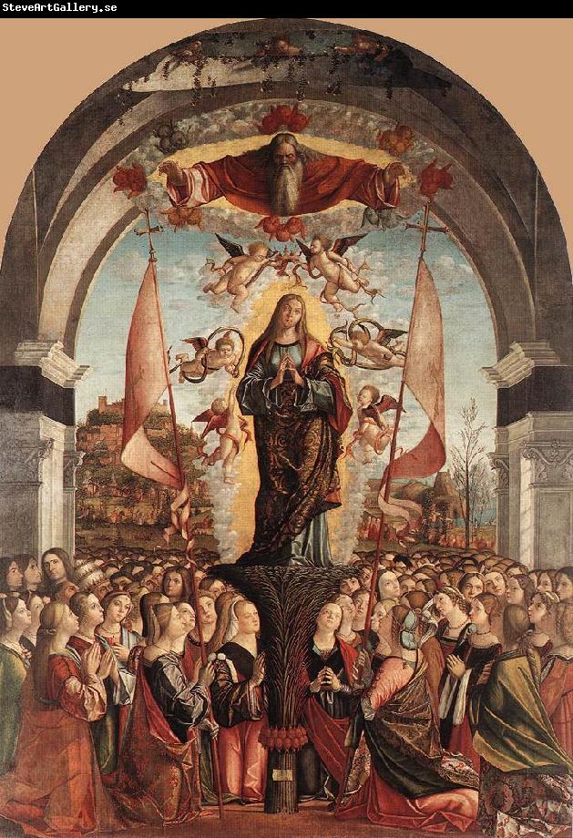 CARPACCIO, Vittore Apotheosis of St Ursula dfg